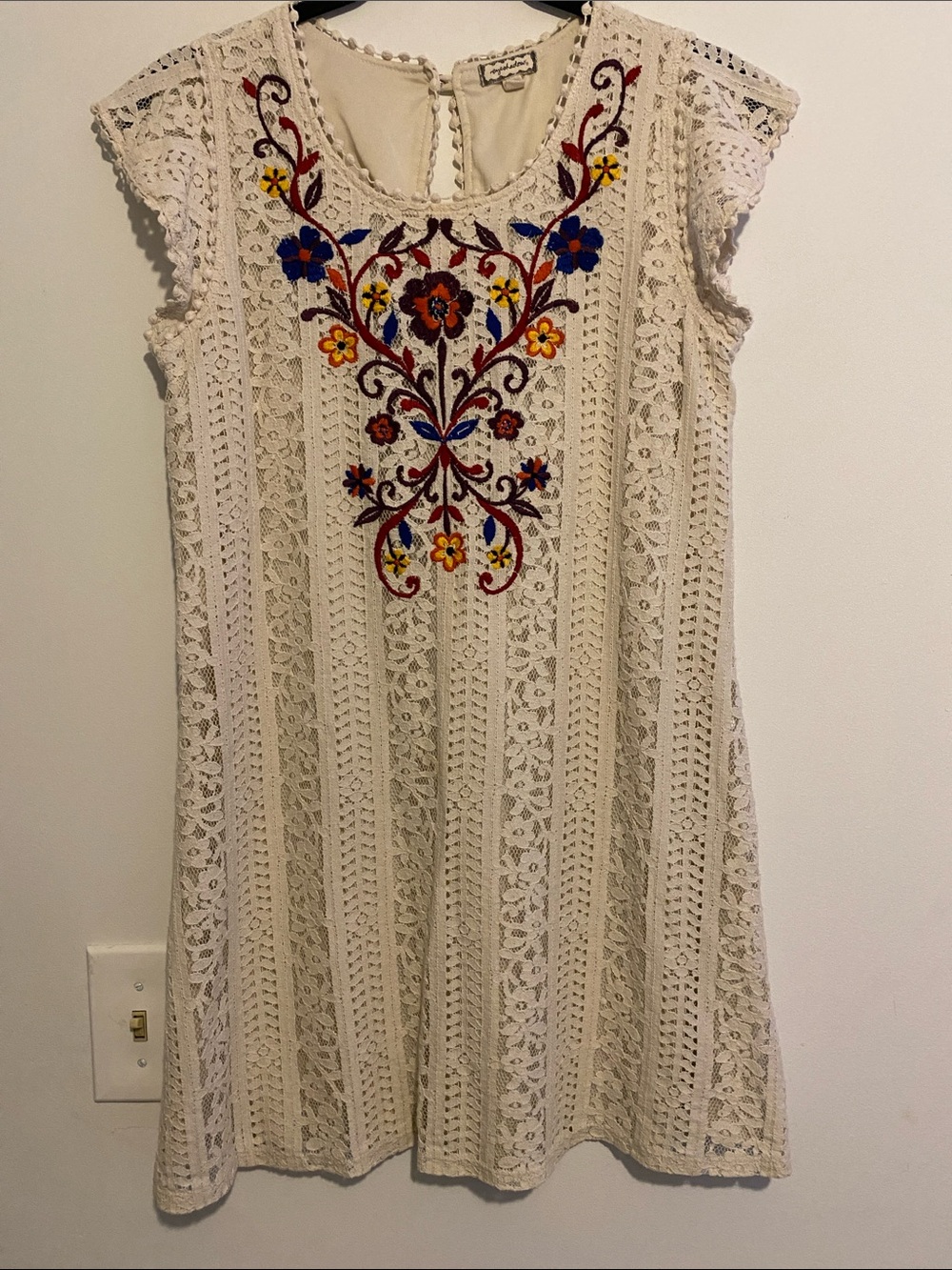 Eyeshadow Cream Lace Dress with Multicolor Floral Embroidery
